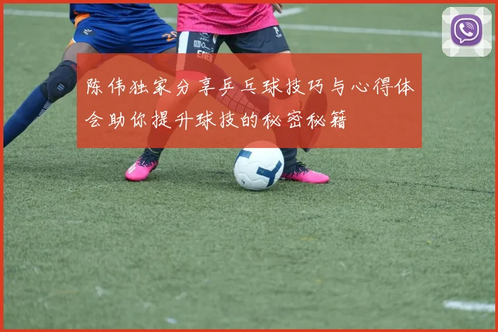 陈伟独家分享乒乓球技巧与心得体会助你提升球技的秘密秘籍